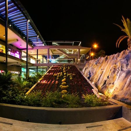 Studio Giulia - Playa Paraiso Tenerife Costa Adeje  Exteriér fotografie